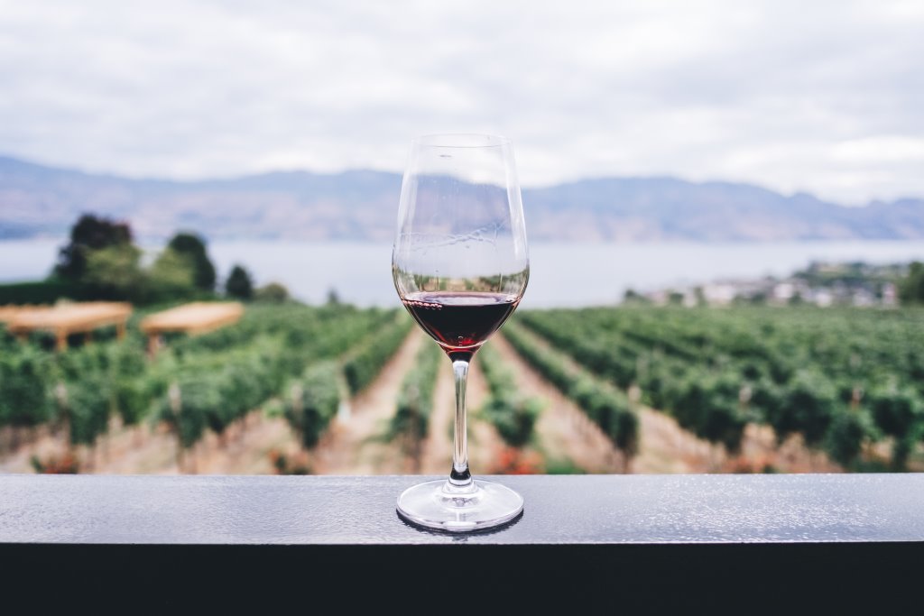 Істина у вині: 6 міфів про алкогольні напої-Фото 1
