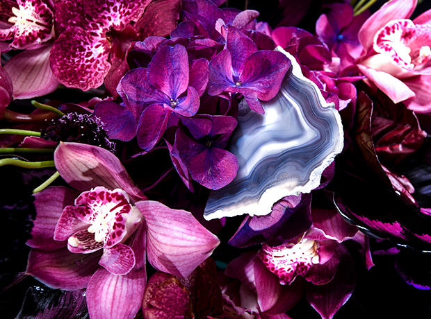 Nature morte: Fiori представили новую цветочную коллекцию-320x180
