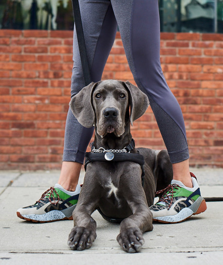 Собаки та взуття: Neiman Marcus представив нову осінню колекцію взуття-Фото 6