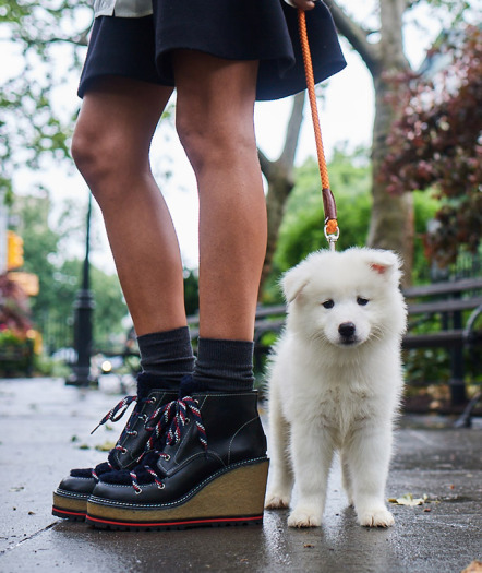Собаки и обувь: Neiman Marcus представил новую осеннюю коллекцию обуви-Фото 7