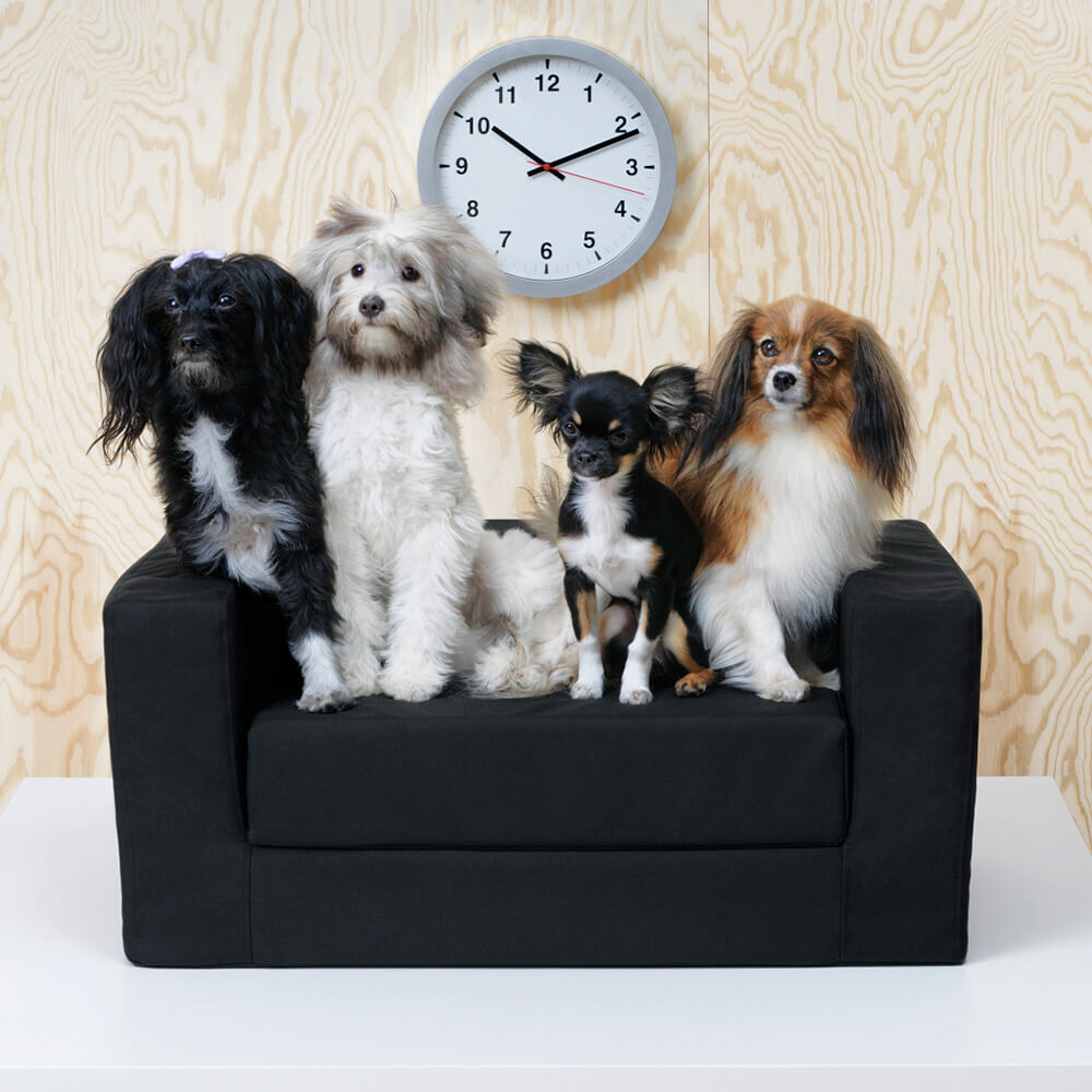 IKEA представила меблі для домашніх тварин-Фото 2