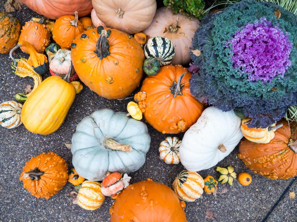 Корисні продукти, які варто їсти восени-Фото 1