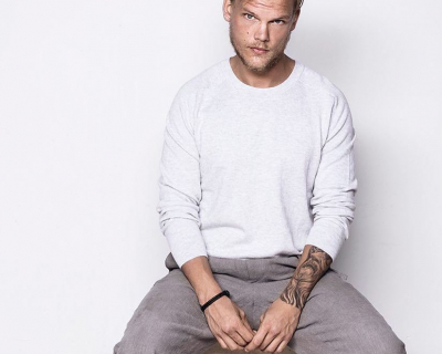 Його музика житиме вічно: музиканти про смерть діджея Avicii-430x480