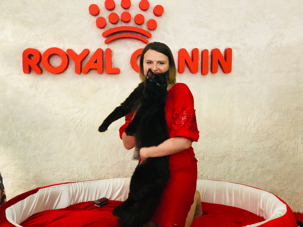 Royal Canin Cup 2018: як пройшла виставка котів в Одесі-Фото 6