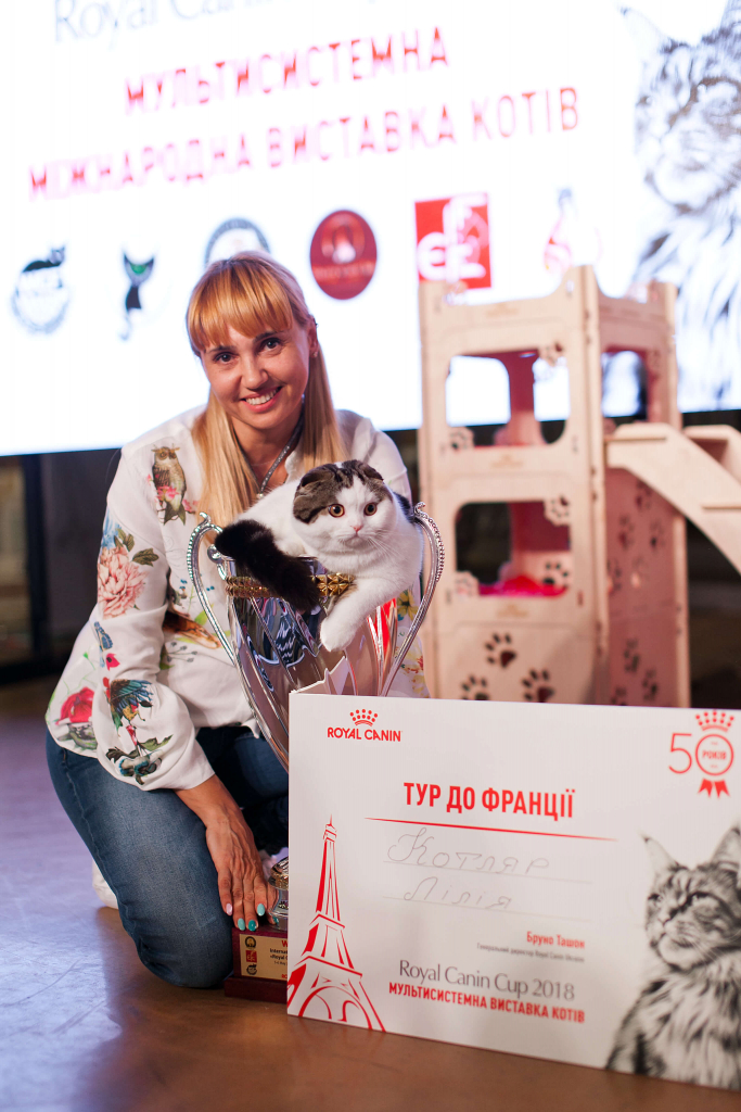 Royal Canin Cup 2018: як пройшла виставка котів в Одесі-Фото 2