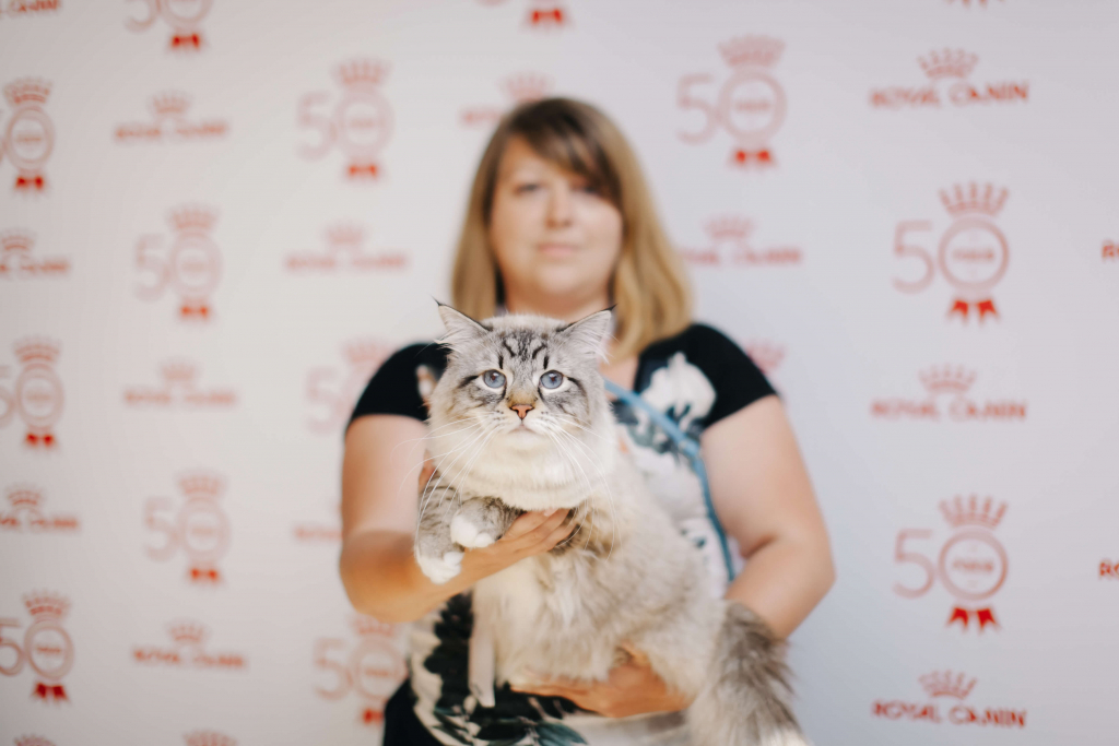 Royal Canin Cup 2018: як пройшла виставка котів в Одесі-Фото 5