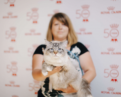 Royal Canin Cup 2018: как прошла выставка кошек в Одессе-430x480