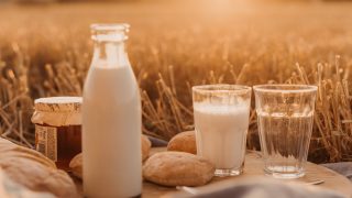 Що варто знати про рослинне молоко і яке вибрати-320x180