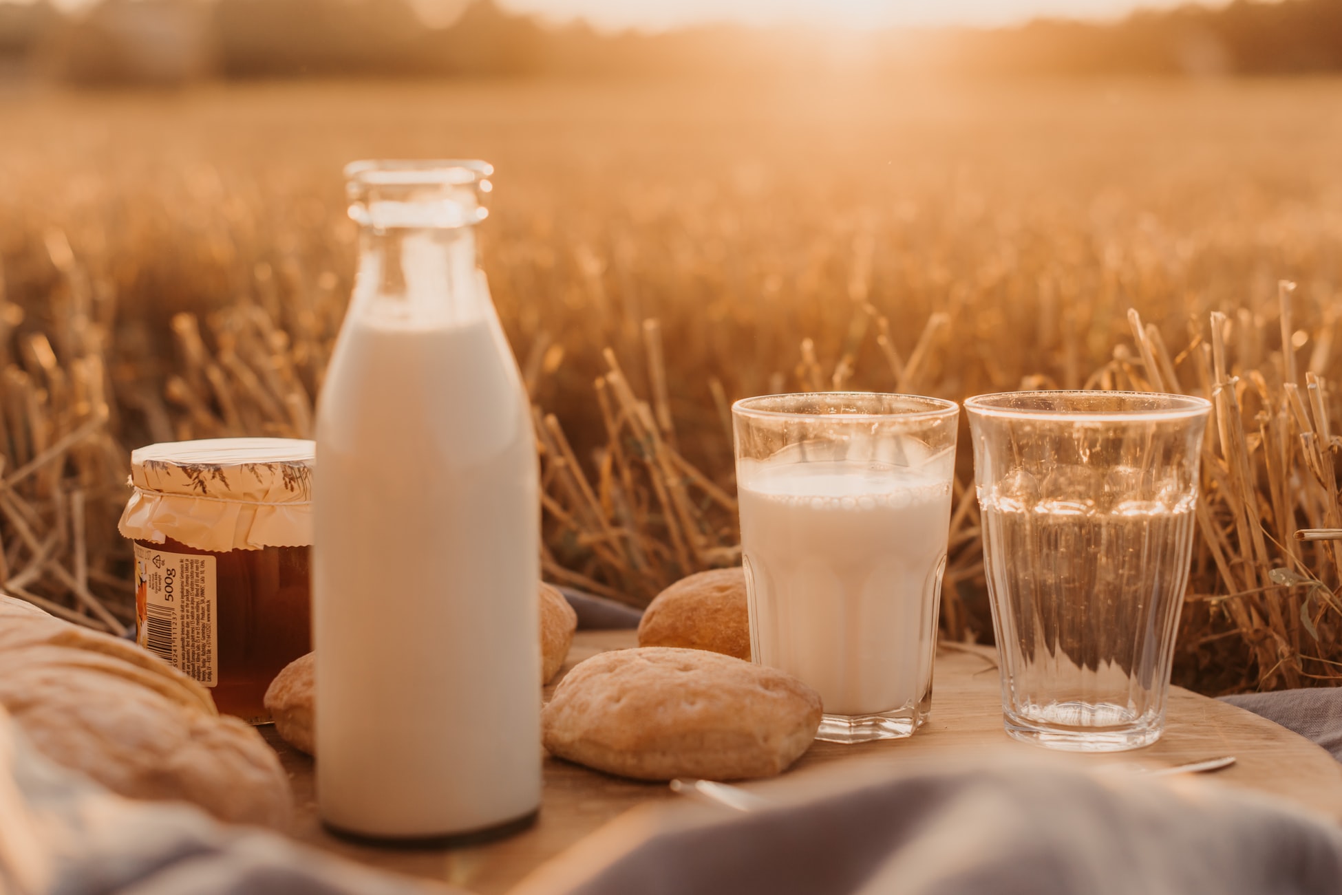 Що варто знати про рослинне молоко і яке вибрати-Фото 1