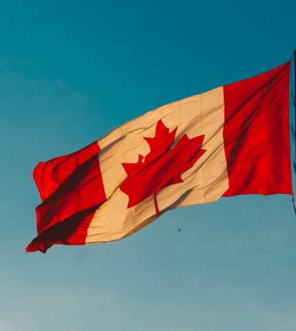 В Канаде запретят одноразовый пластик с 2021 года-430x480