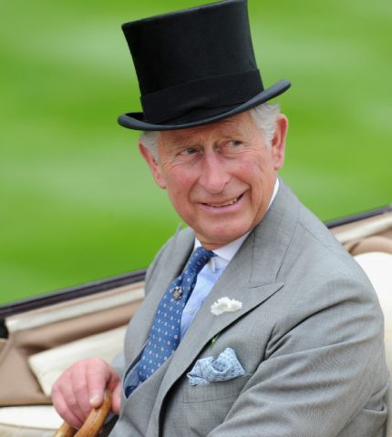 Принц Чарльз выделил 2,5 миллиона долларов на охрану для принца Гарри и Меган Маркл-430x480
