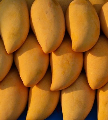 как научиться правильно выбирать манго