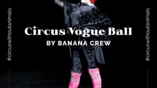 Circus Vogue Ball: В Киеве пройдет танцевальное шоу в поддержку животных-320x180