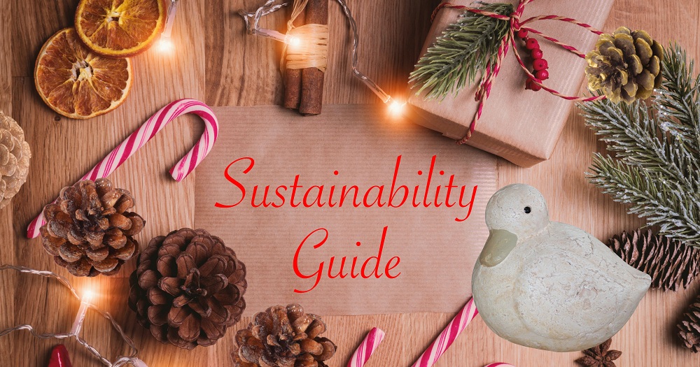 Sustainability Guide: Як прикрасити ялинку та свій будинок без шкоди для планети-Фото 1