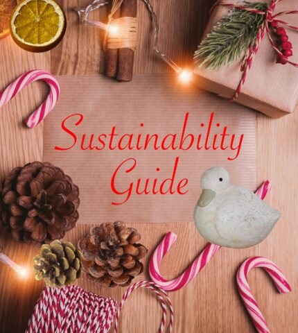 Sustainability Guide: Як прикрасити ялинку та свій будинок без шкоди для планети-430x480