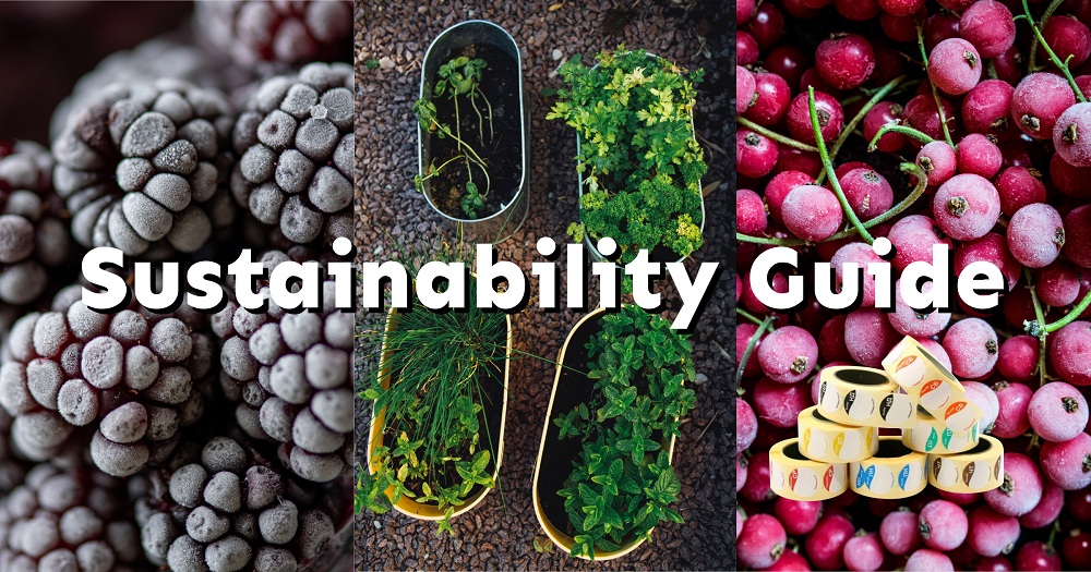 Sustainability Guide: 9 корисних звичай, щоб зробити приготування їжі більш zero waste-Фото 1
