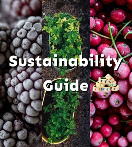 Sustainability Guide: 9 корисних звичок, щоб зробити приготування їжі більш zero waste-430x480
