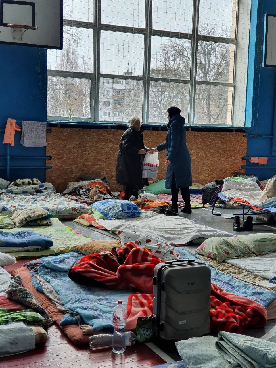 «Ми можемо знайти все і всюди», — Анастасія Цибуляк про центр допомоги Україні за кордоном-Фото 2