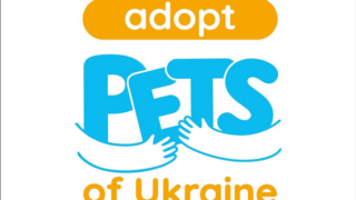 Adopt pets of Ukraine – місце, де можна знайти свого чотирилапого друга-320x180