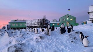 «Літо в Антарктиді»: MEGOGO створив аудіосеріал про українську станцію «Академік Вернадський»-320x180