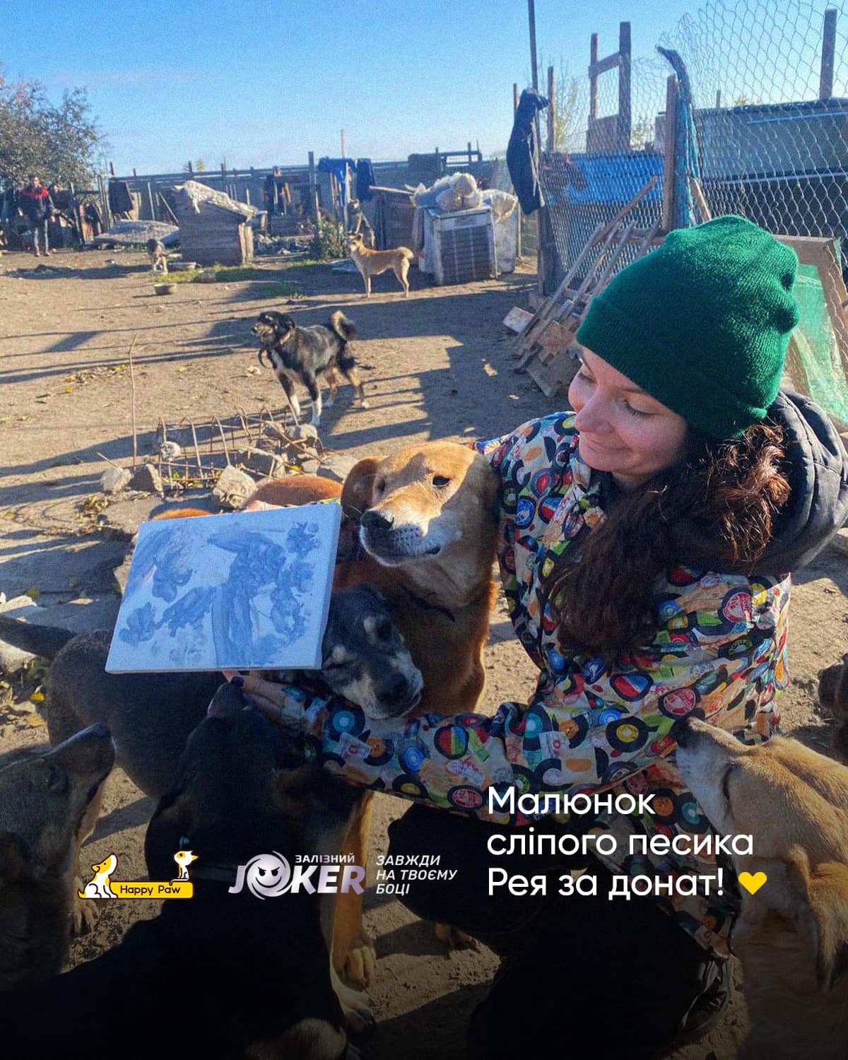 Картини, створені тваринами з притулку на Київщині, розіграють серед благодійників-Фото 2