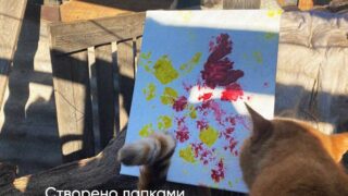 Картини, створені тваринами з притулку на Київщині, розіграють серед благодійників-320x180
