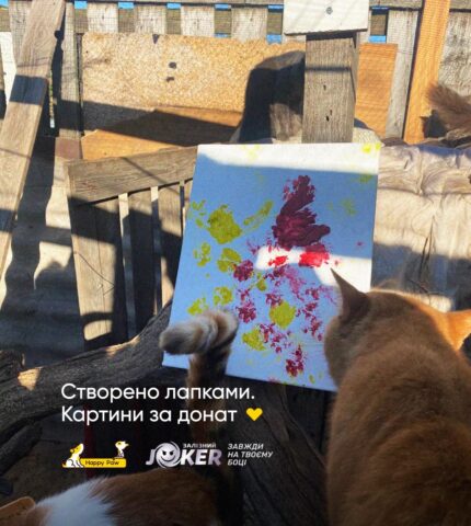 Картини, створені тваринами з притулку на Київщині, розіграють серед благодійників-430x480