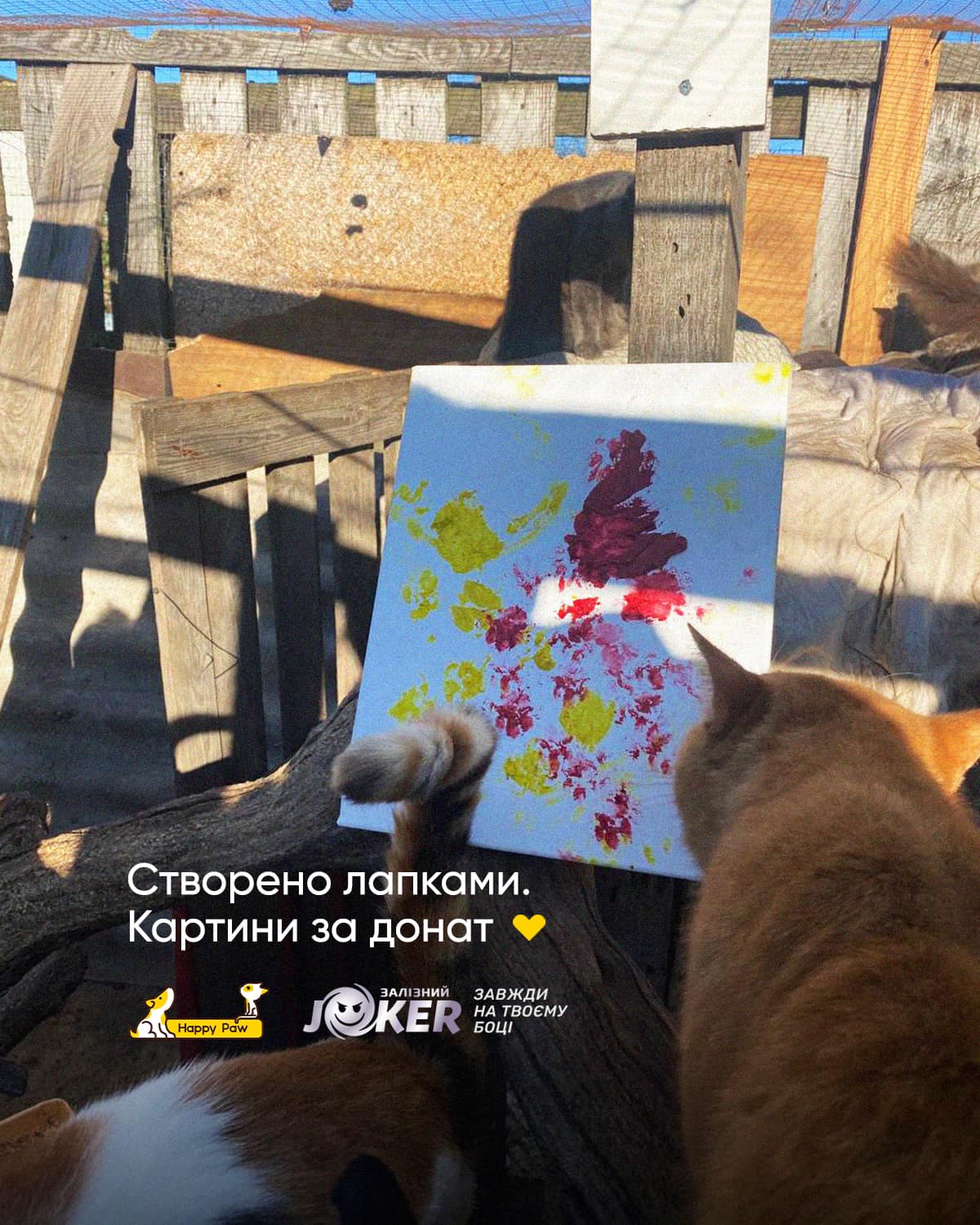 Картини, створені тваринами з притулку на Київщині, розіграють серед благодійників-Фото 1
