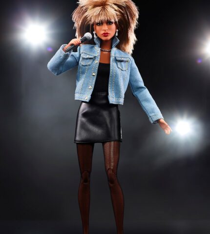 Barbie представили нову ляльку на честь Тіни Тернер-430x480