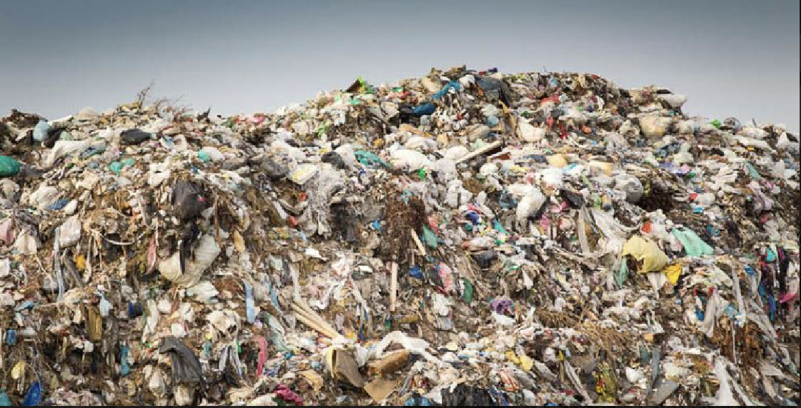 Валентина Сафро про досвід сортування мусору у великому місті-Фото 2