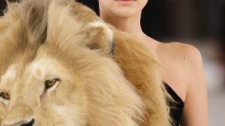 Новий скандал після шоу Schiaparelli: чому Ірину Шейк беруть на покази-320x180