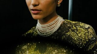 Dior Осінь 2023 Мумбаї Брама до Індії