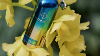 У кольорах сонця та моря: Montale представили аромат Blue Matcha-320x180