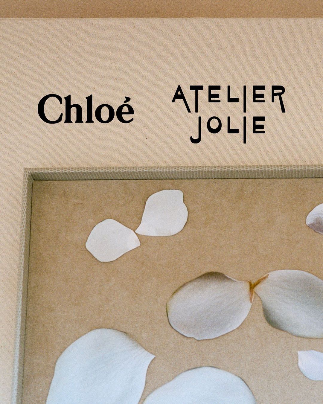 Chloé та Atelier Jolie капсульна колекція