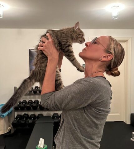 Сара Джессіка Паркер забрала додому кошеня із серіалу "І просто так..."