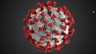 В Україні зареєстровані випадки нового субваріанту коронавірусу JN.1 «Дженні»-320x180