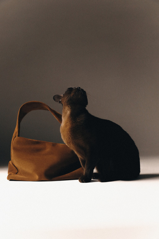 Аксесуар із характером: COOSH презентує нову сумку BURMA-Фото 5