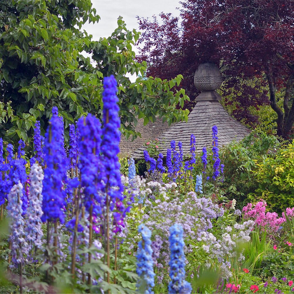 Нова колаборація: Burberry та резиденція Чарльза ІІІ Highgrove Gardens-Фото 3