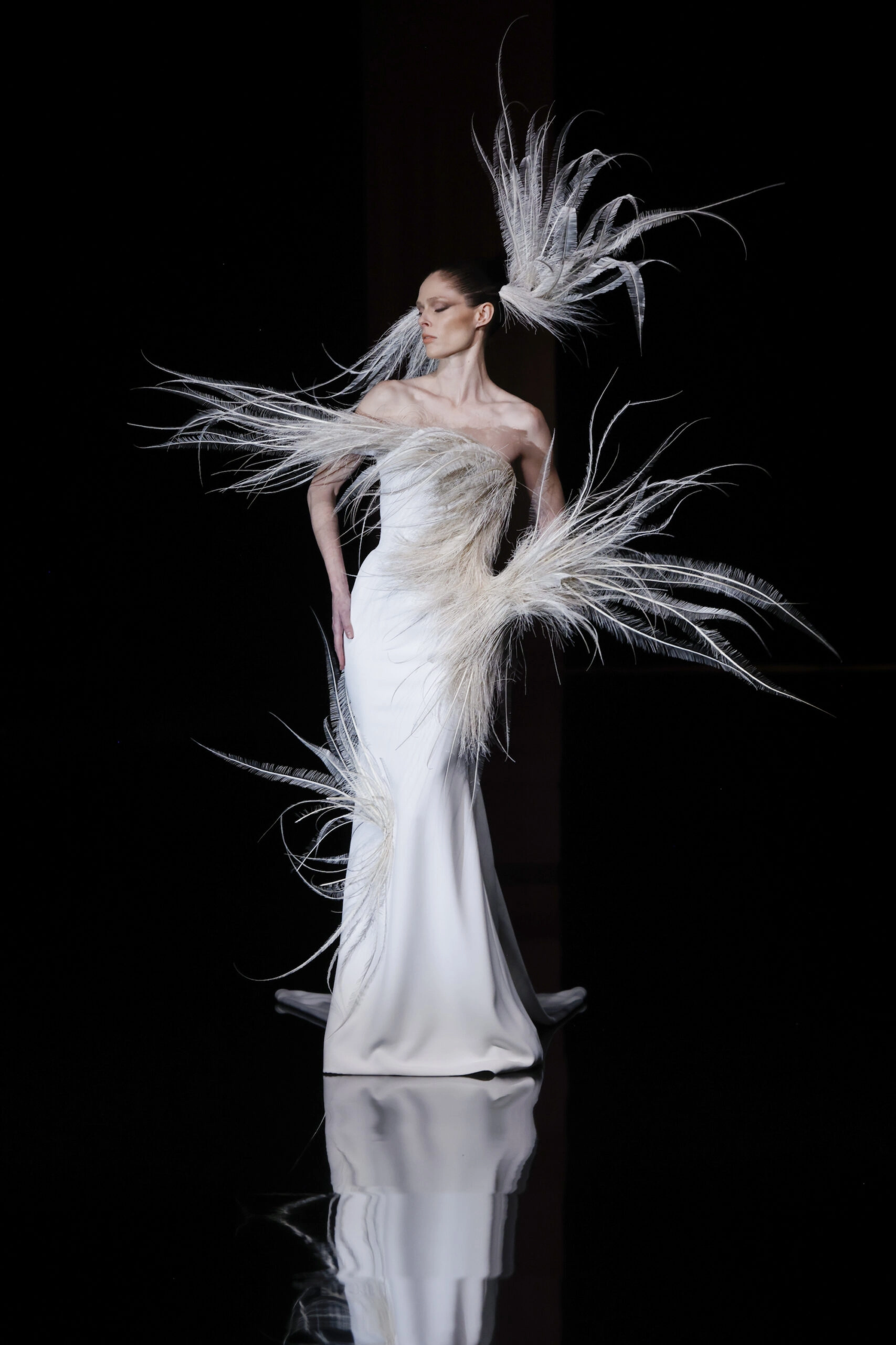 сукня з пір'ям Stephane Rolland
