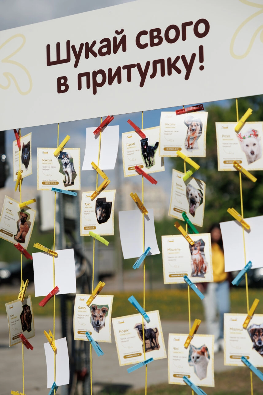 MINI Happy Paw пікнік