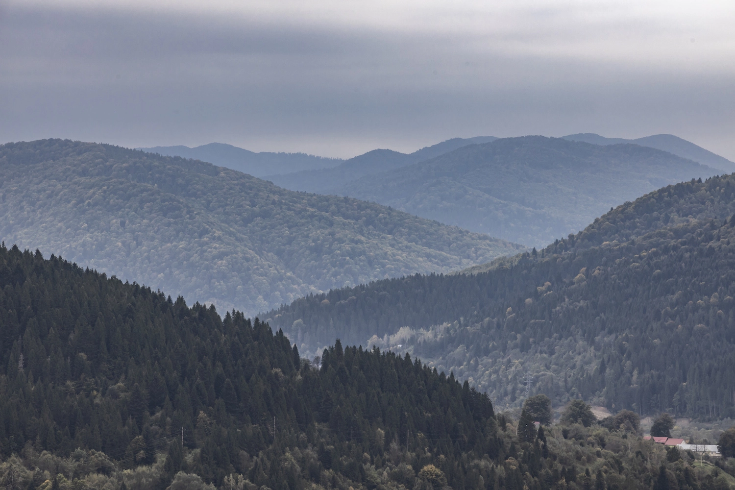 Панорама Східниця Карпати