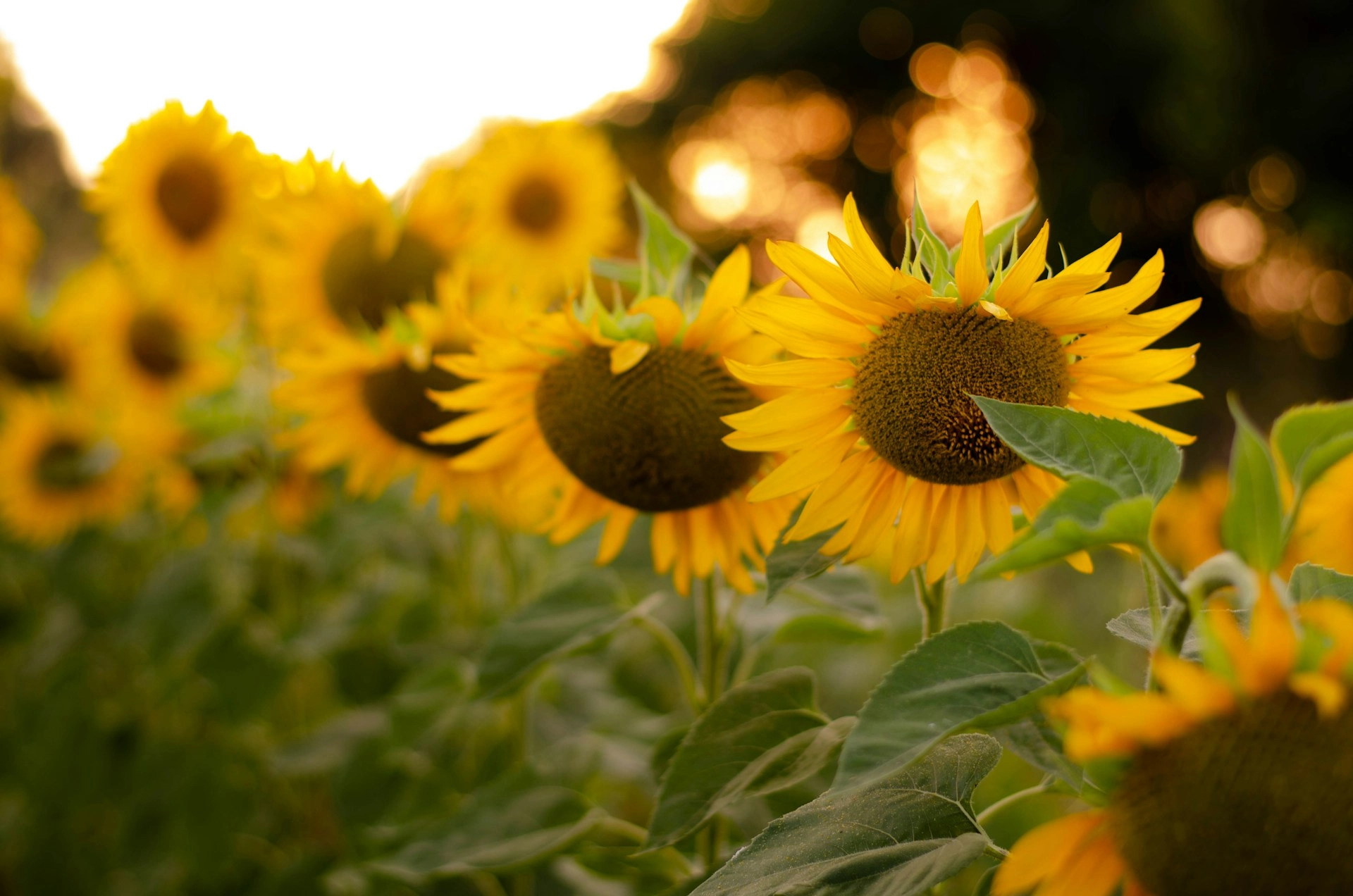 магнитные бури сентябрь 2025