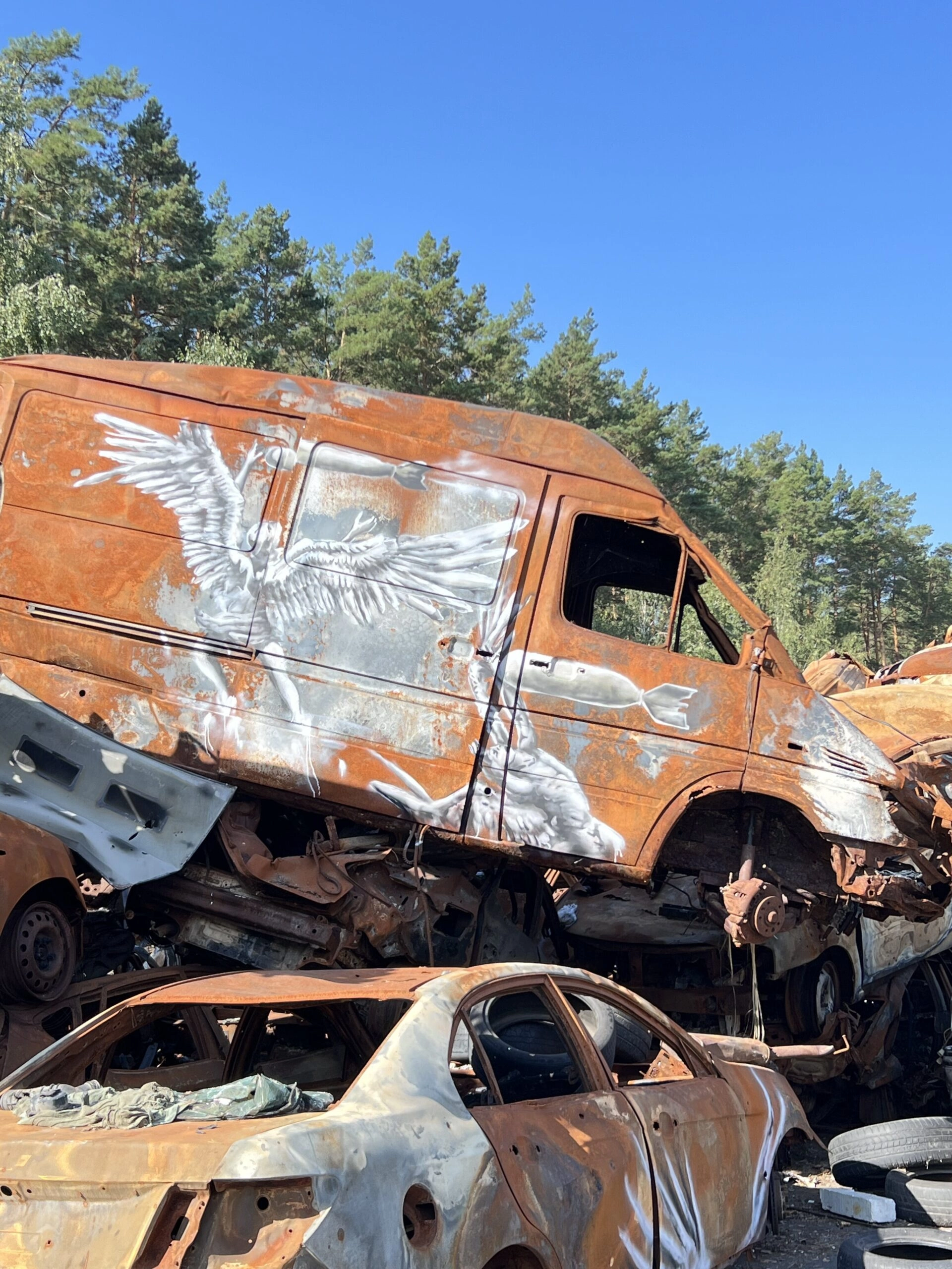 Документальный фильм 