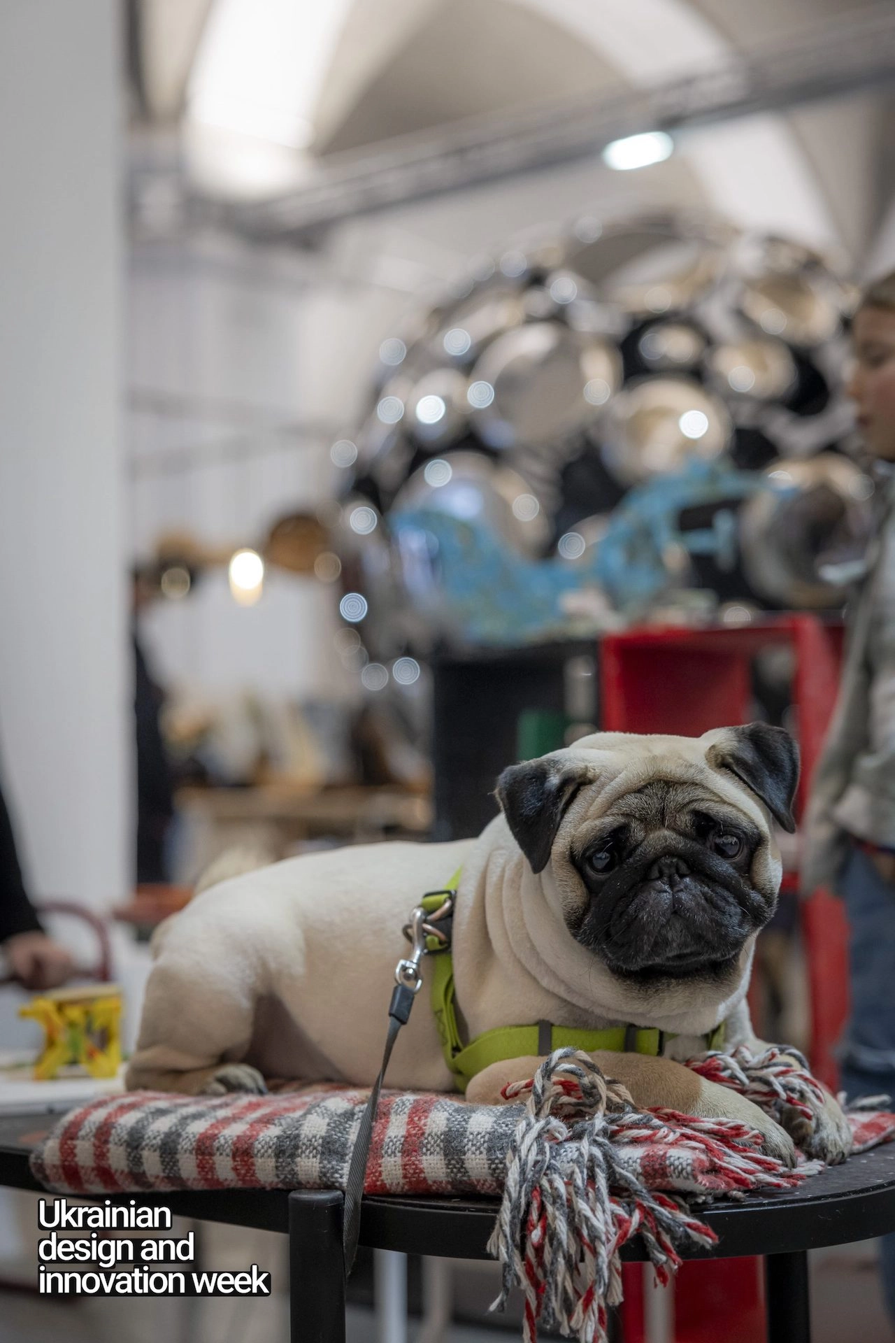 Ukrainian Design & Innovation Week 5 сезон