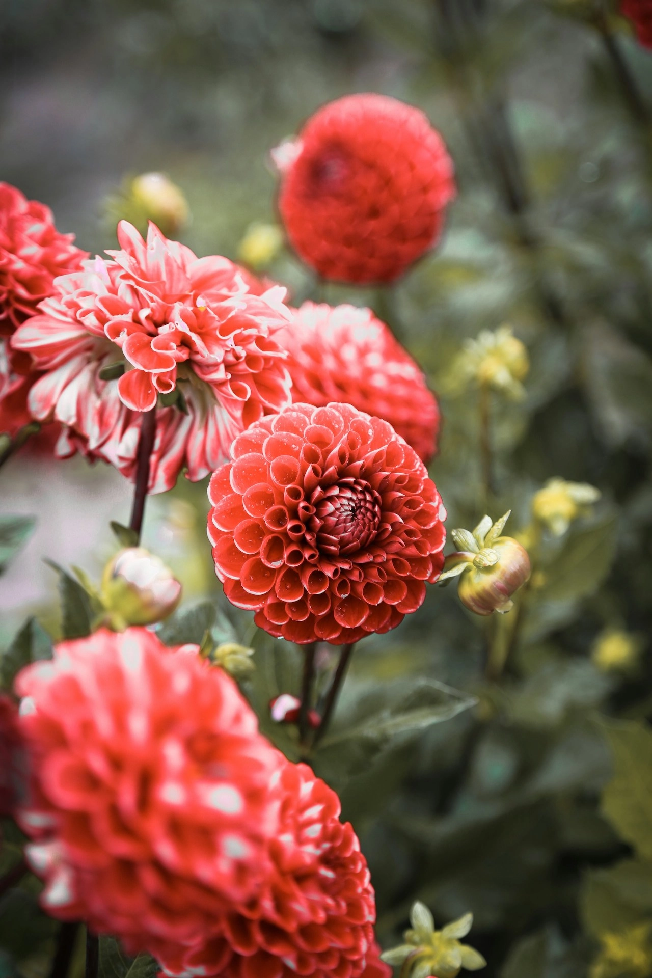 магнитные бури октябрь 2025