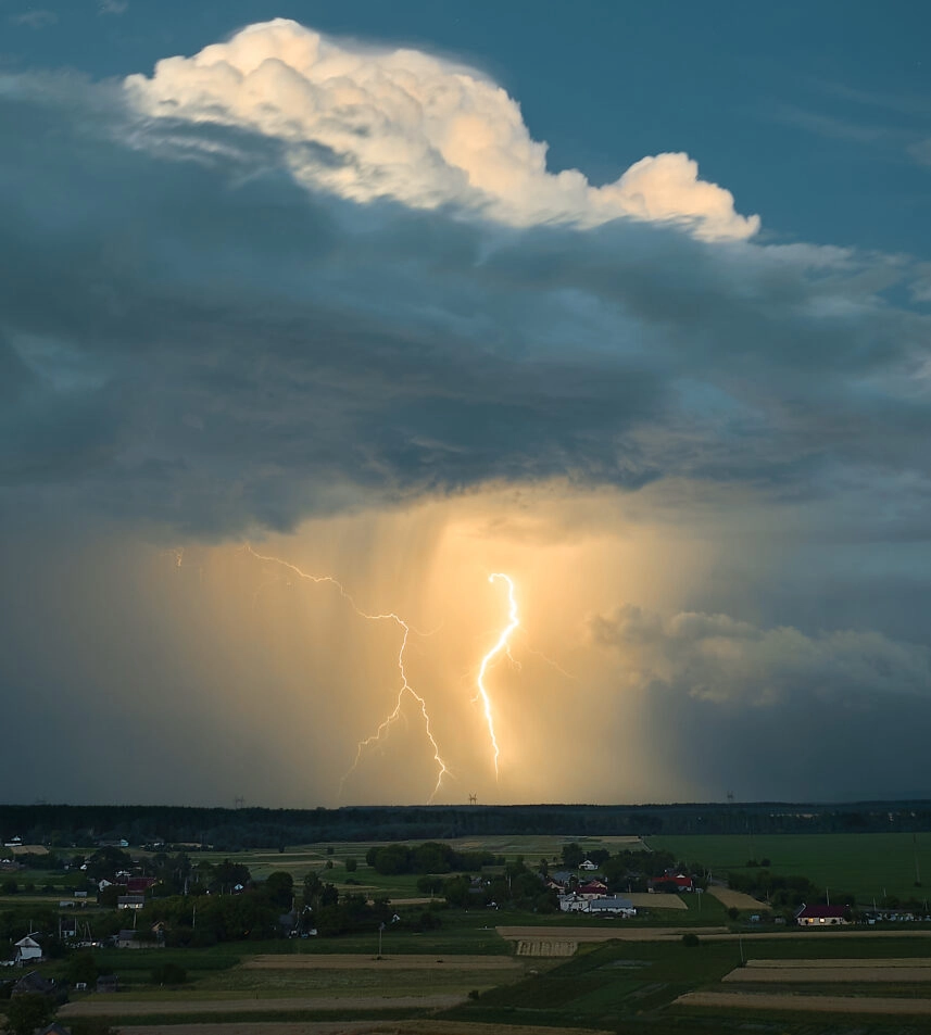 виставка Костянтина і Влади Ліберових у Києві