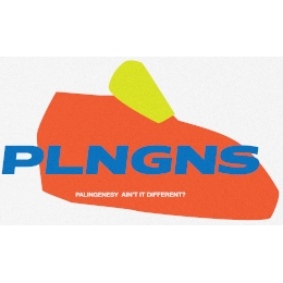 Логотип компанії: PALINGENESY / PLNGNS