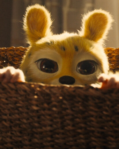 Марсупіламі