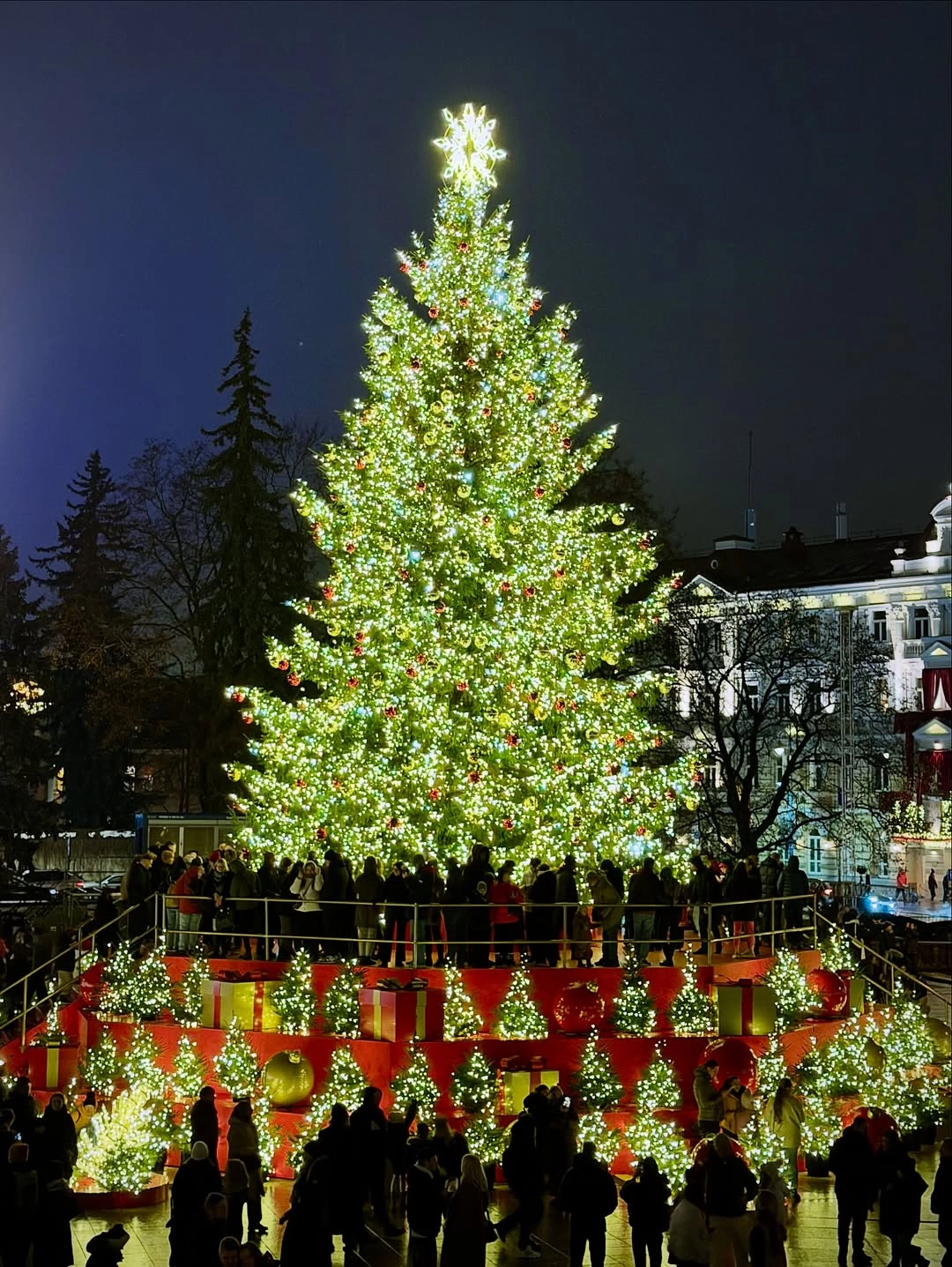 Святкова ялинка у Вільнюсі