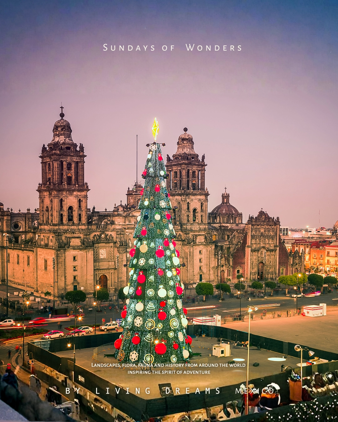 Ялинка на Сокало в Мехіко